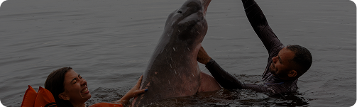 um rio atravessa selva